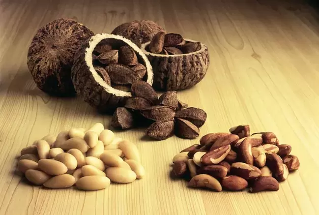 Brazilian walnuts for potency