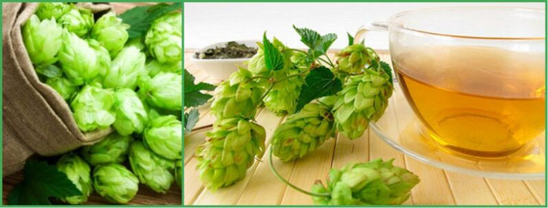 decoction of hop cones to take effect after 50