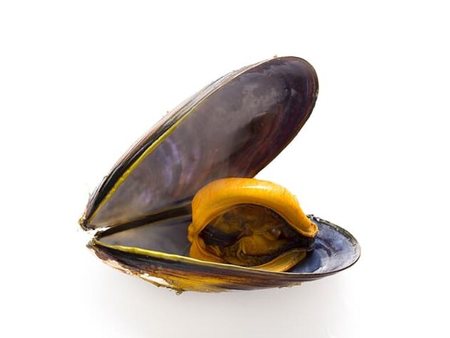 Due to the high zinc content, mussels improve sperm quality. 